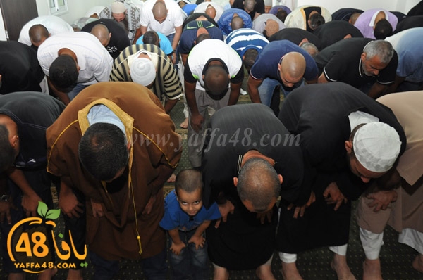 mohamed elfatekh3 (9).JPG